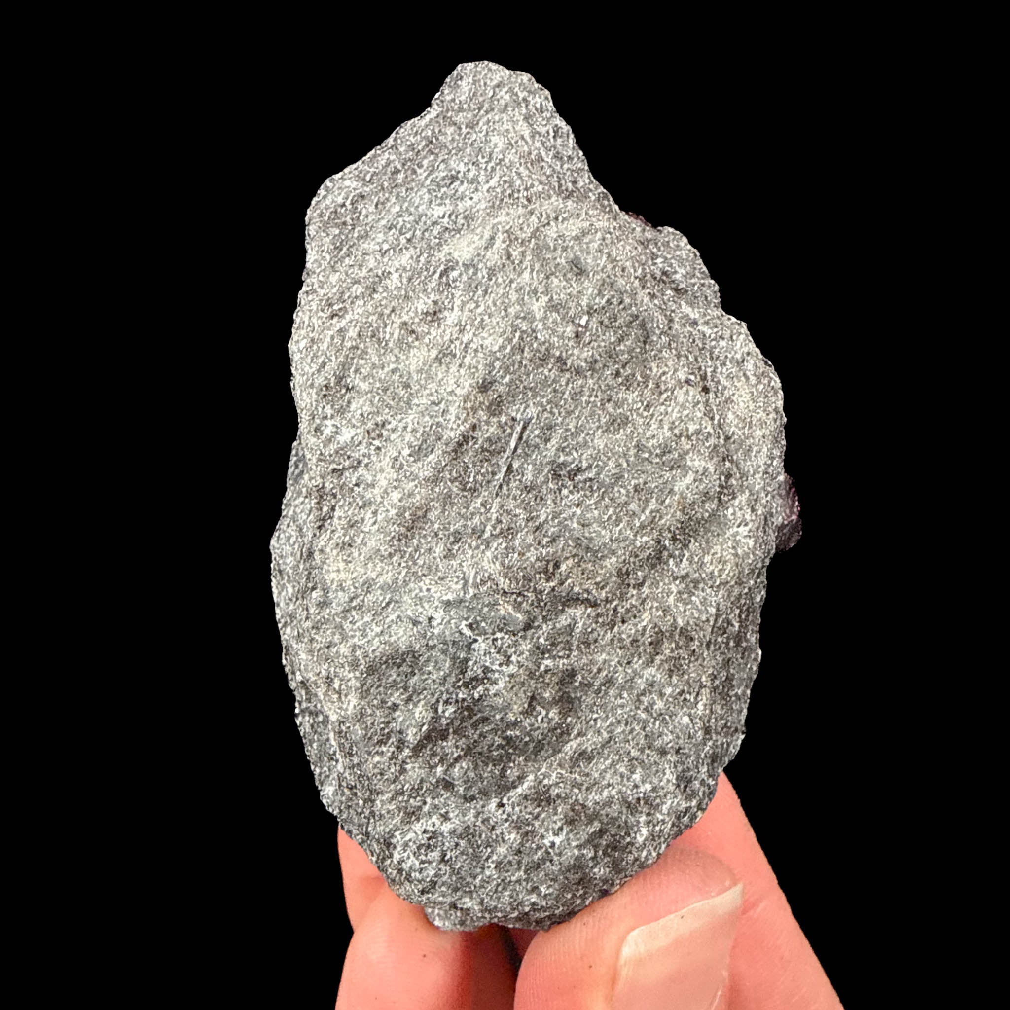 Reverse side of garnet schist specimen