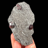 Red garnet crystals in schist from Alaska
