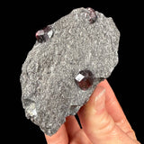 Almandine Garnet mineral specimen - Wrangell Island, Alaska
