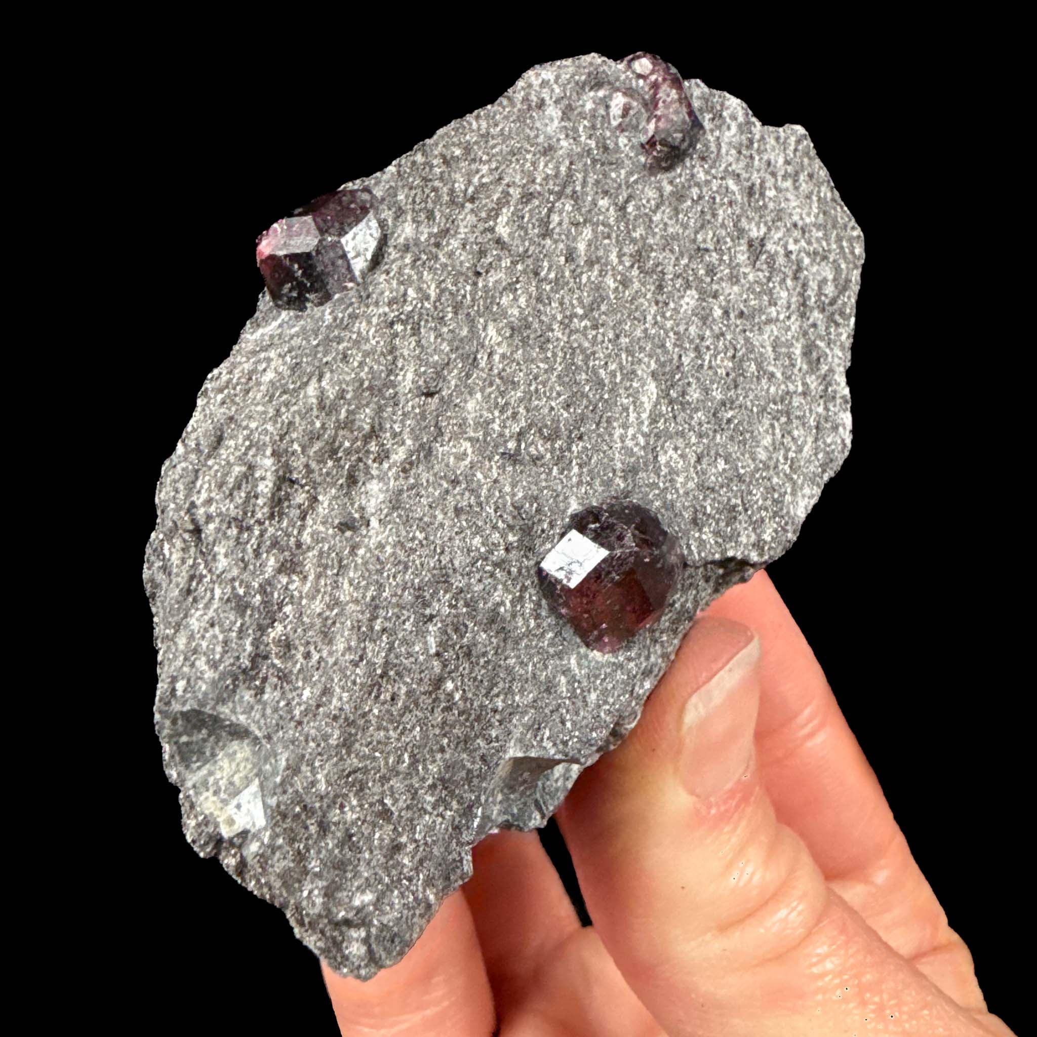 Almandine Garnet mineral specimen - Wrangell Island, Alaska