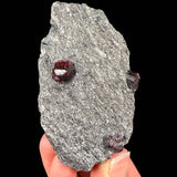 Red Garnet crystals in schist rock matrix - Alaska