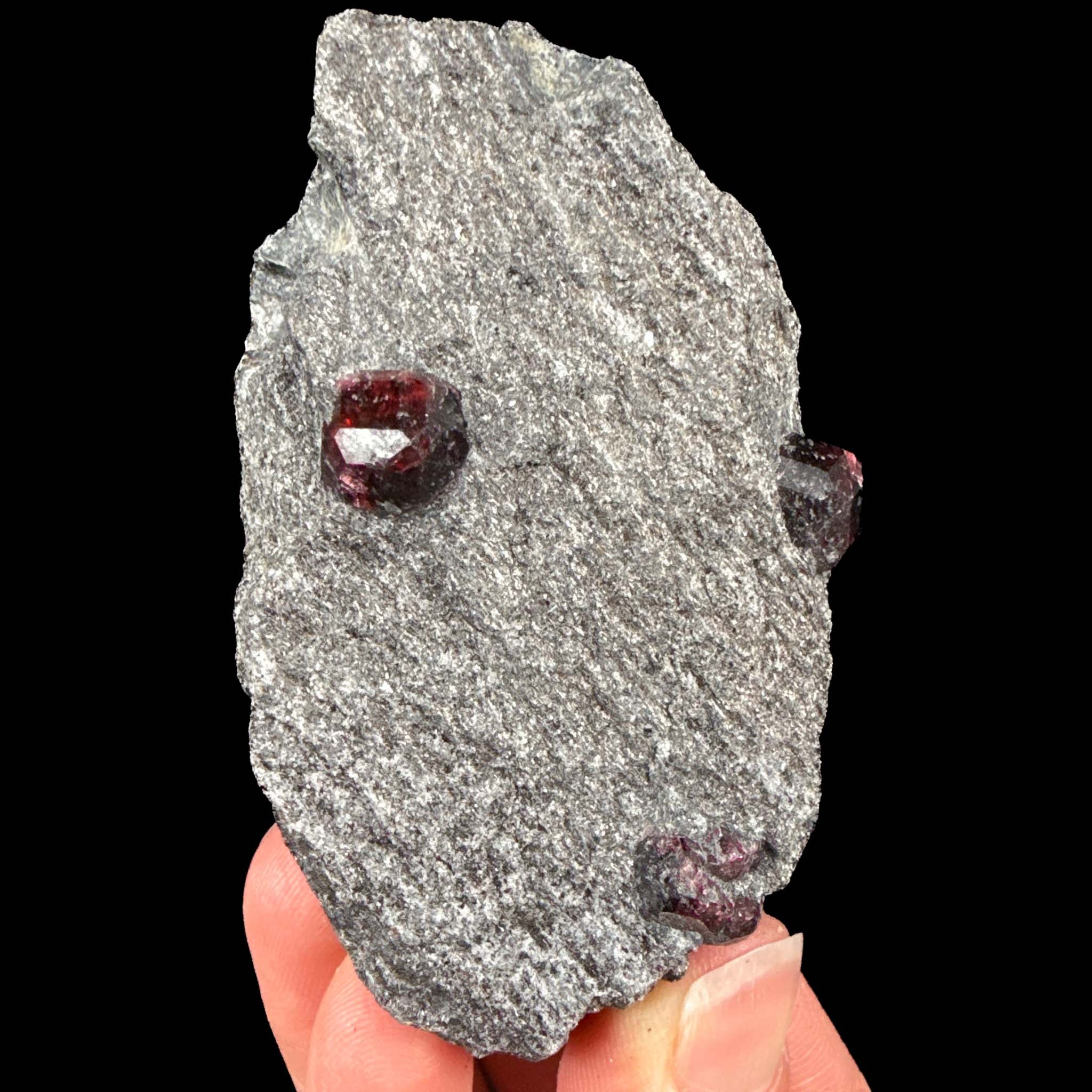 Red Garnet crystals in schist rock matrix - Alaska