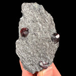 Red Almandine Garnets in matrix from Wrangell Island, Alaska, USA