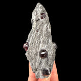 Garnets in mica schist - Wrangell Island, Alaska