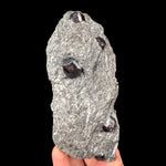 Garnet crystals from Wrangell Island, Alaska, USA