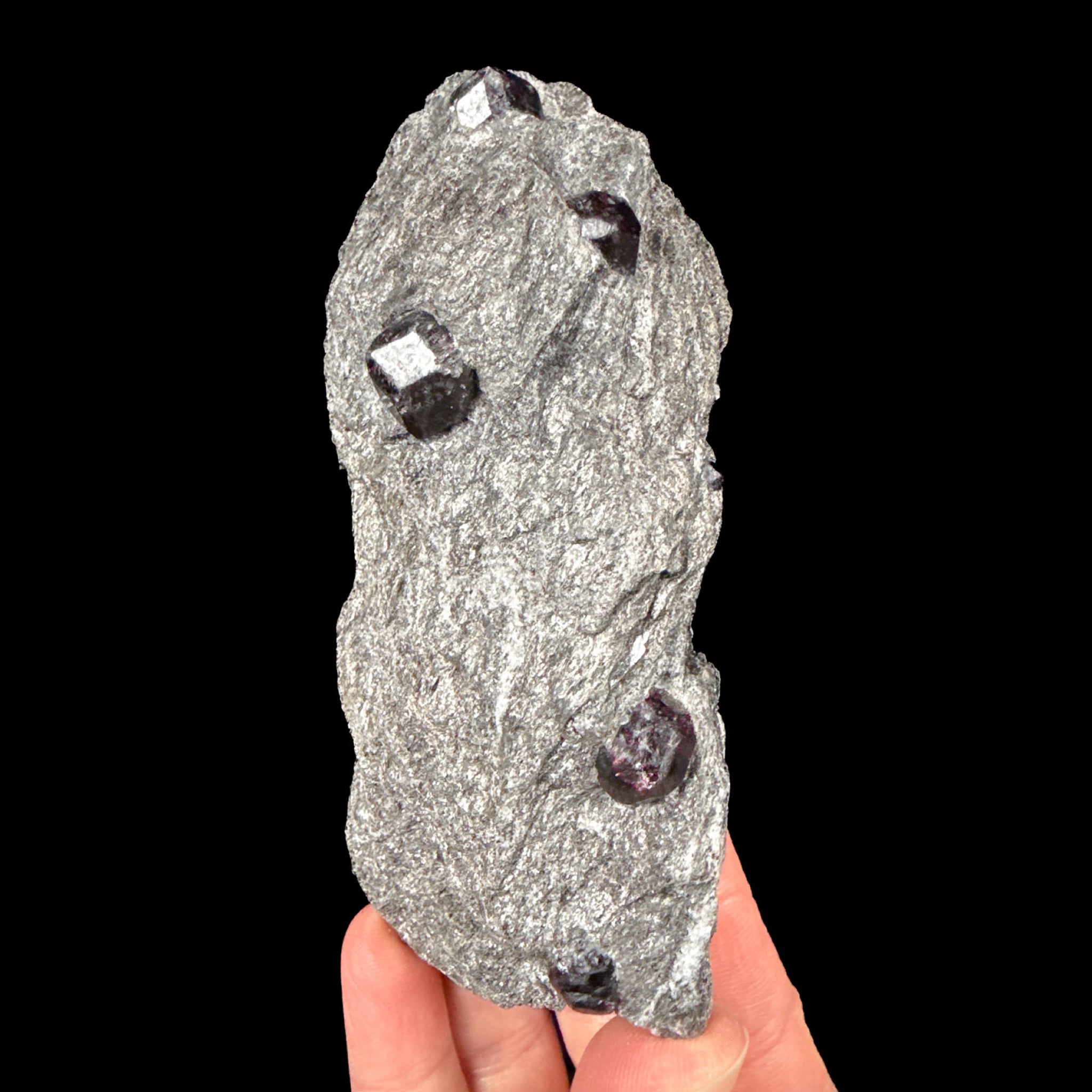 Almandine Garnet crystals in schist from Alaska