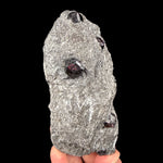 Garnet in Mica Schist - Wrangell Island, Alaska