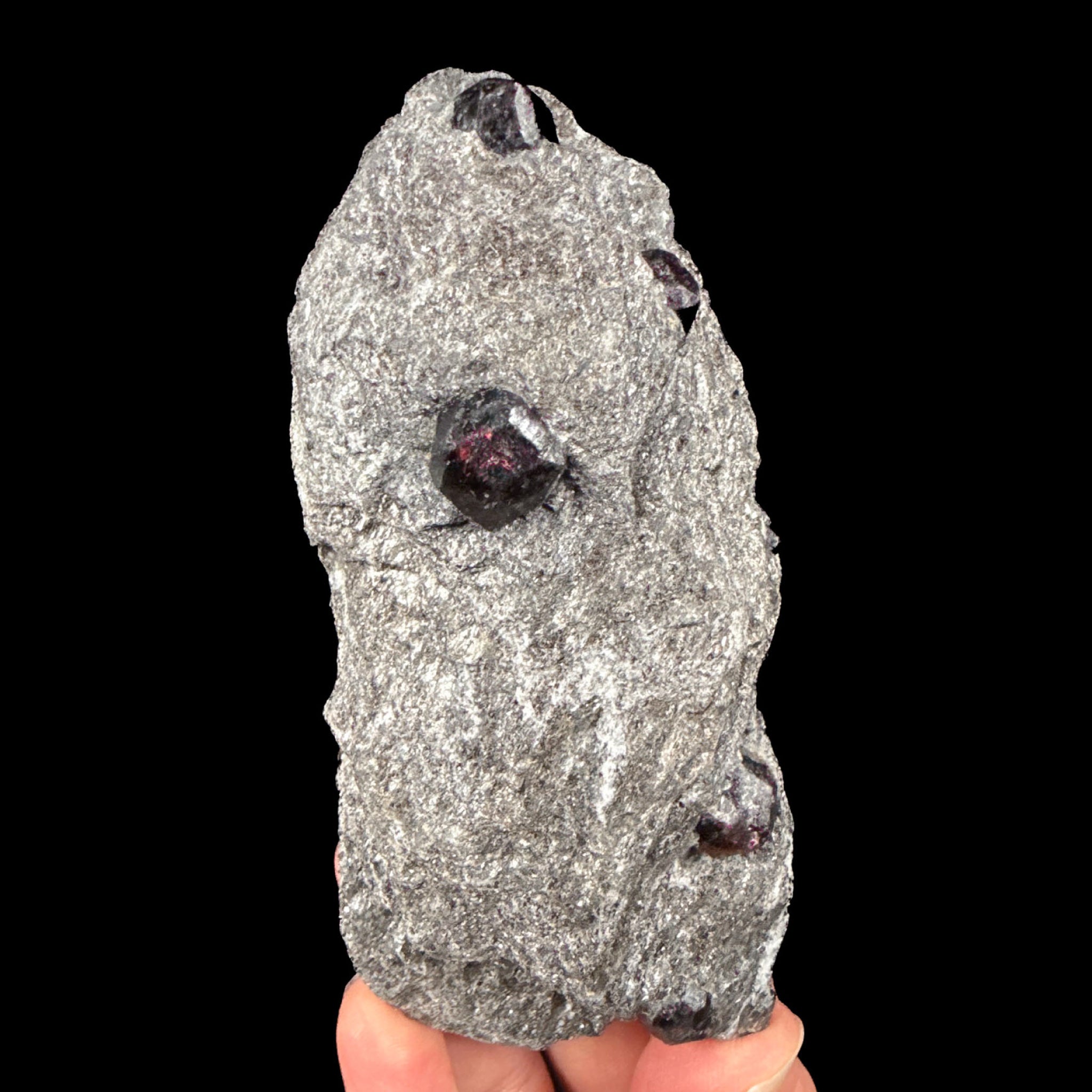 Garnet in Mica Schist - Wrangell Island, Alaska