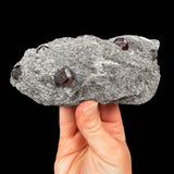 Garnets in matrix - Alaska