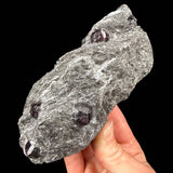 Garnet crystals in rock matrix - Alaska, USA
