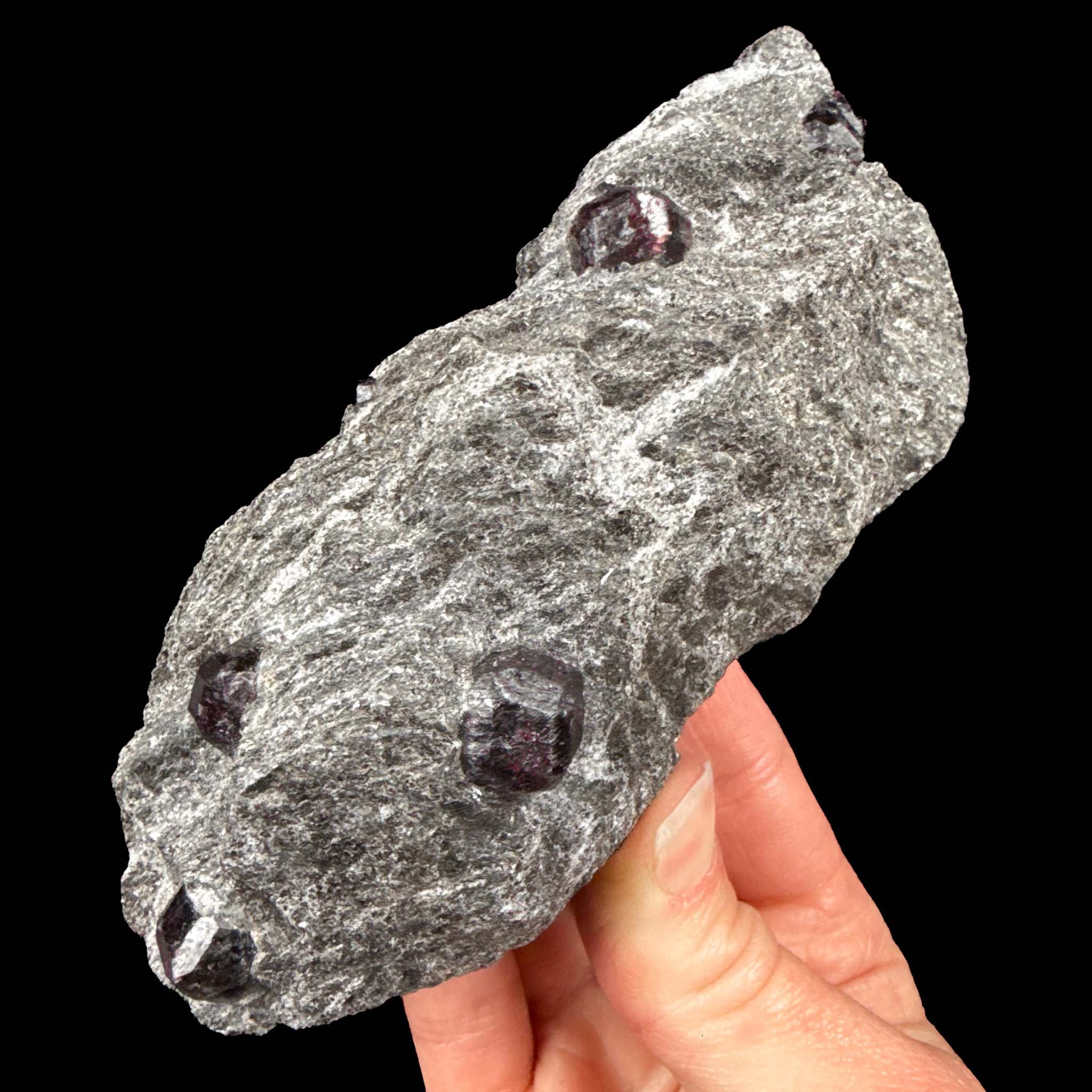 Garnet crystals in rock matrix - Alaska, USA