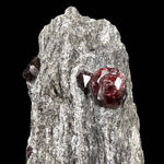 Close up of red Almandine Garnet crystals in Schist matrix from Alaska