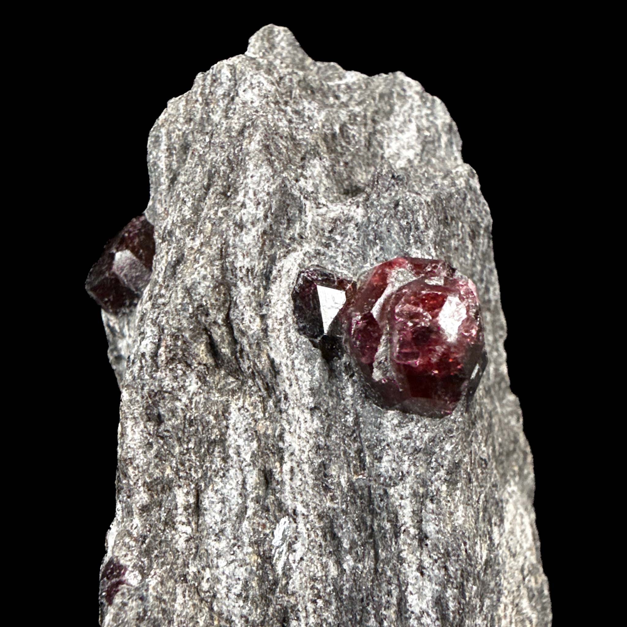 Close up of red Almandine Garnet crystals in Schist matrix from Alaska
