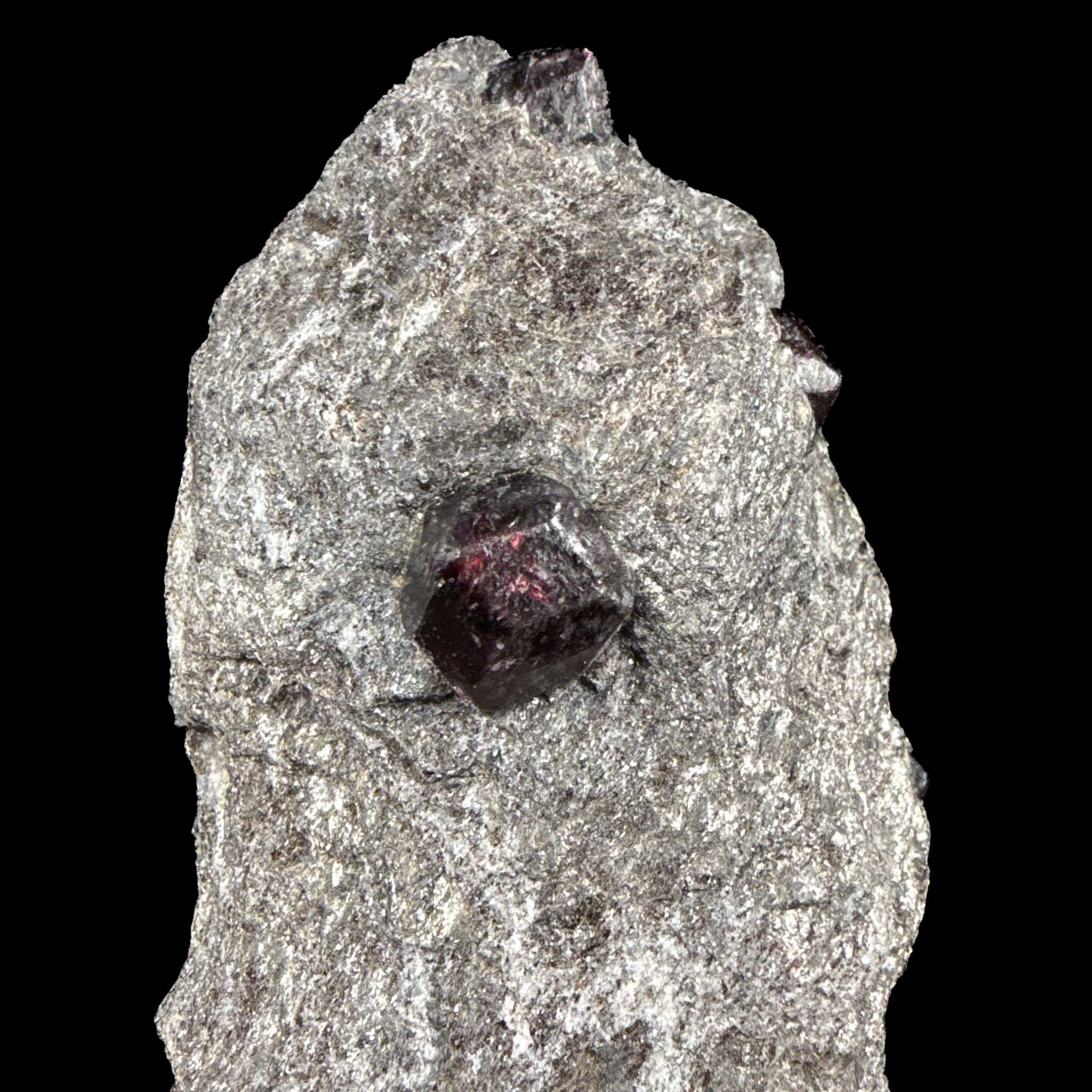 Close up of Almandine Garnet crystal in Schist