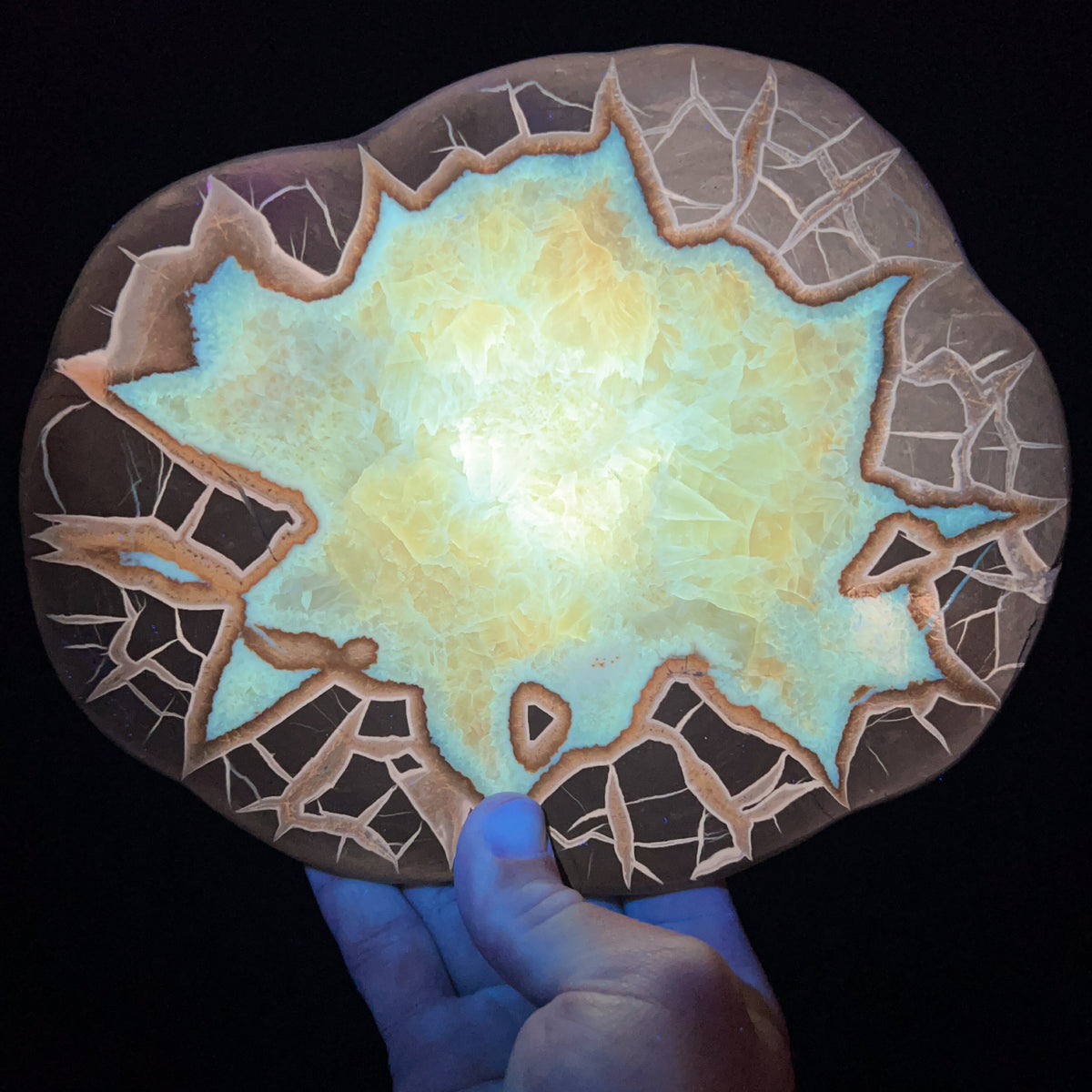 Golden Calcite Concretion under UV Fluorescence