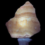 Calcite specimen from Mexico displaying UV fluorescence