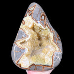 Golden Yellow Calcite Crystals in a Concretion