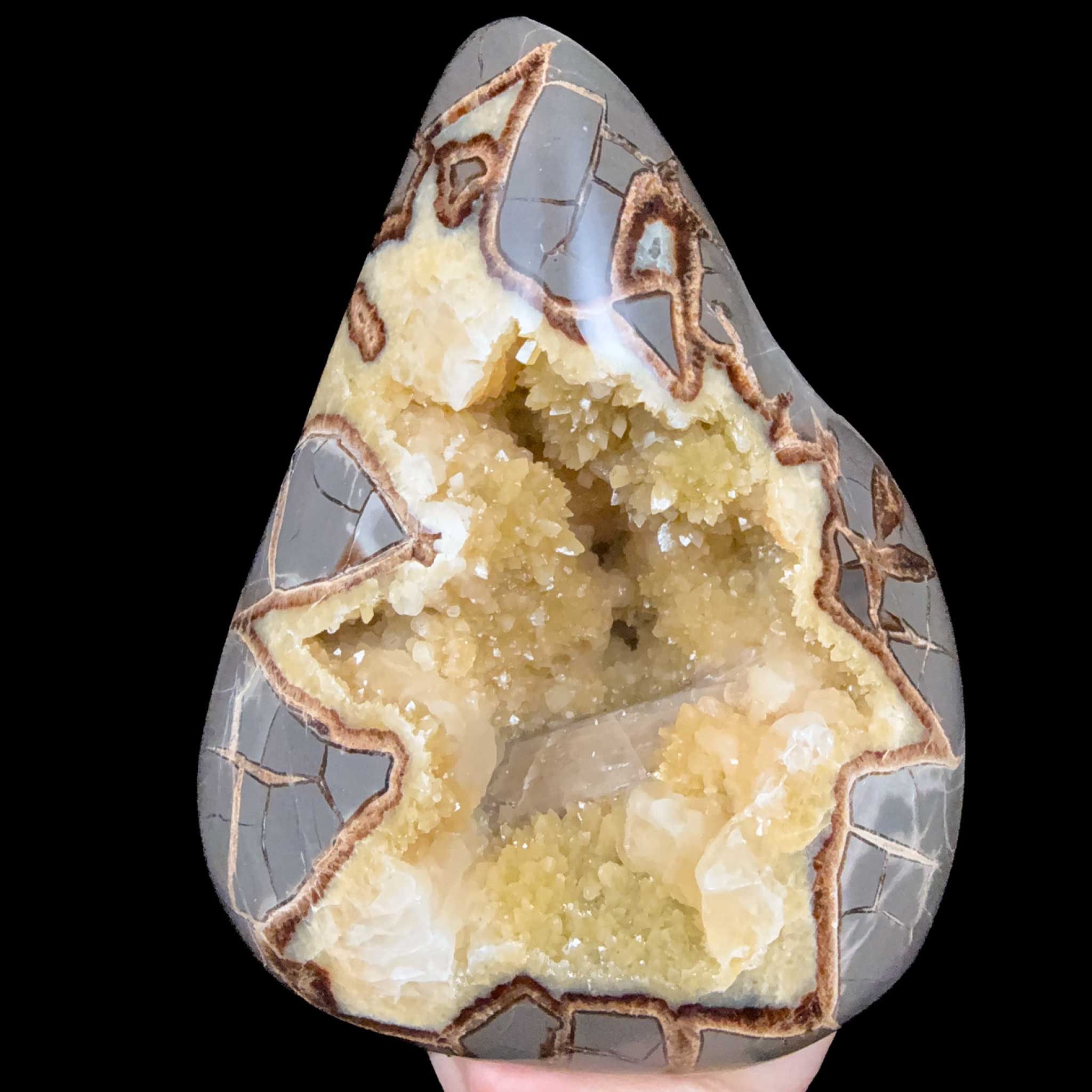 Golden Calcite Septarian Concretion from Utah