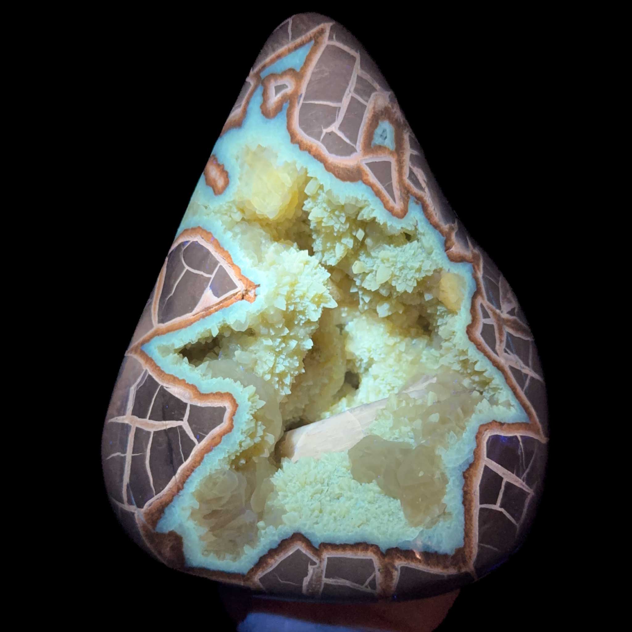 UV fluorescent Septarian Concretion with Calcite crystals