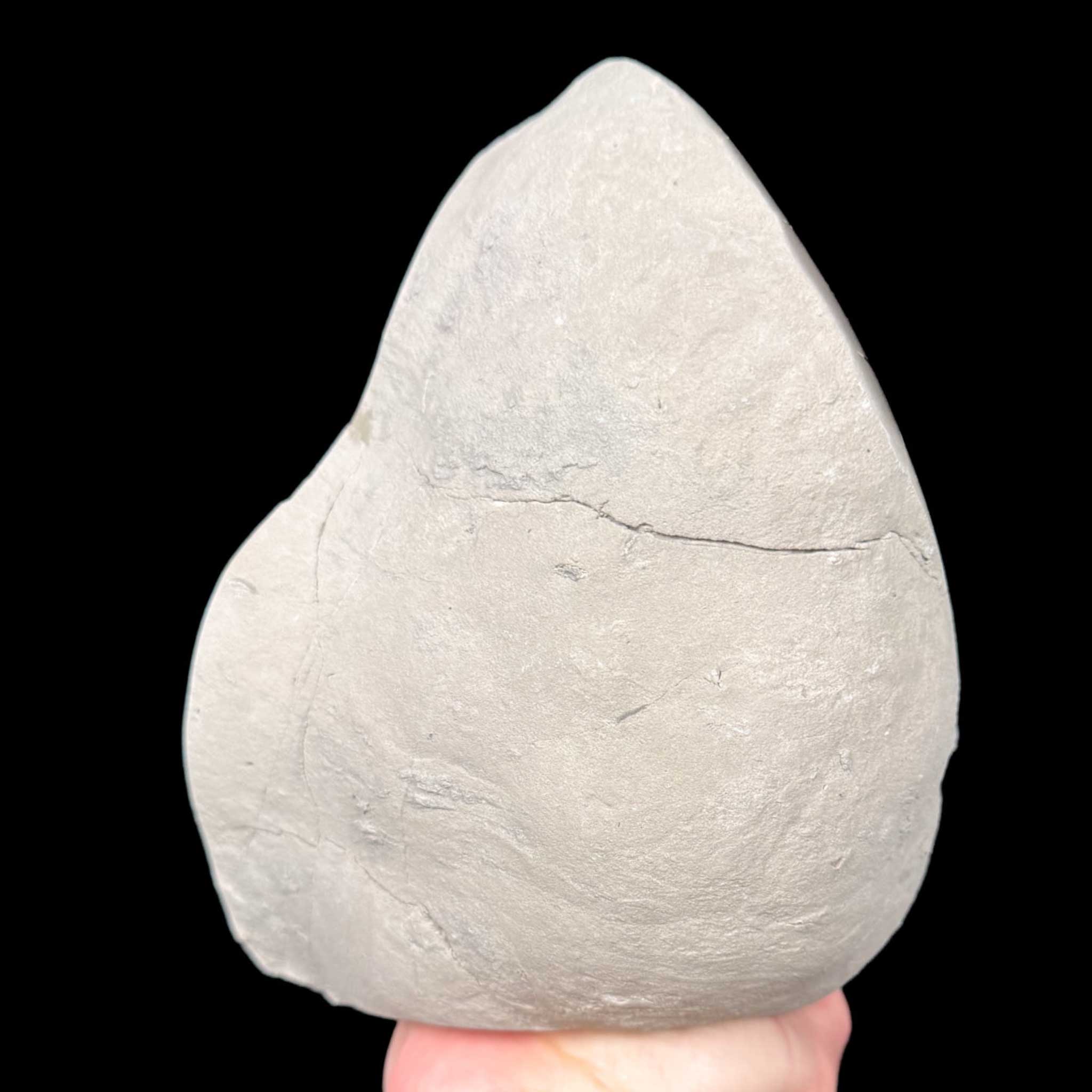 Exterior of septarian concretion