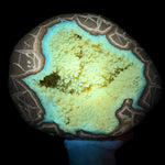 Calcite concretion displaying UV fluorescence