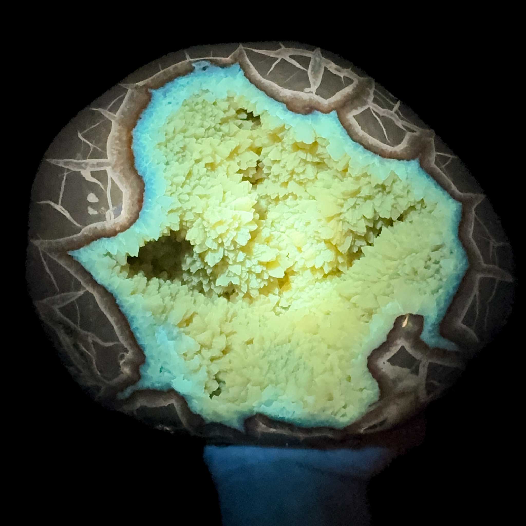 Calcite concretion displaying UV fluorescence