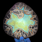 UV fluorescent calcite slice