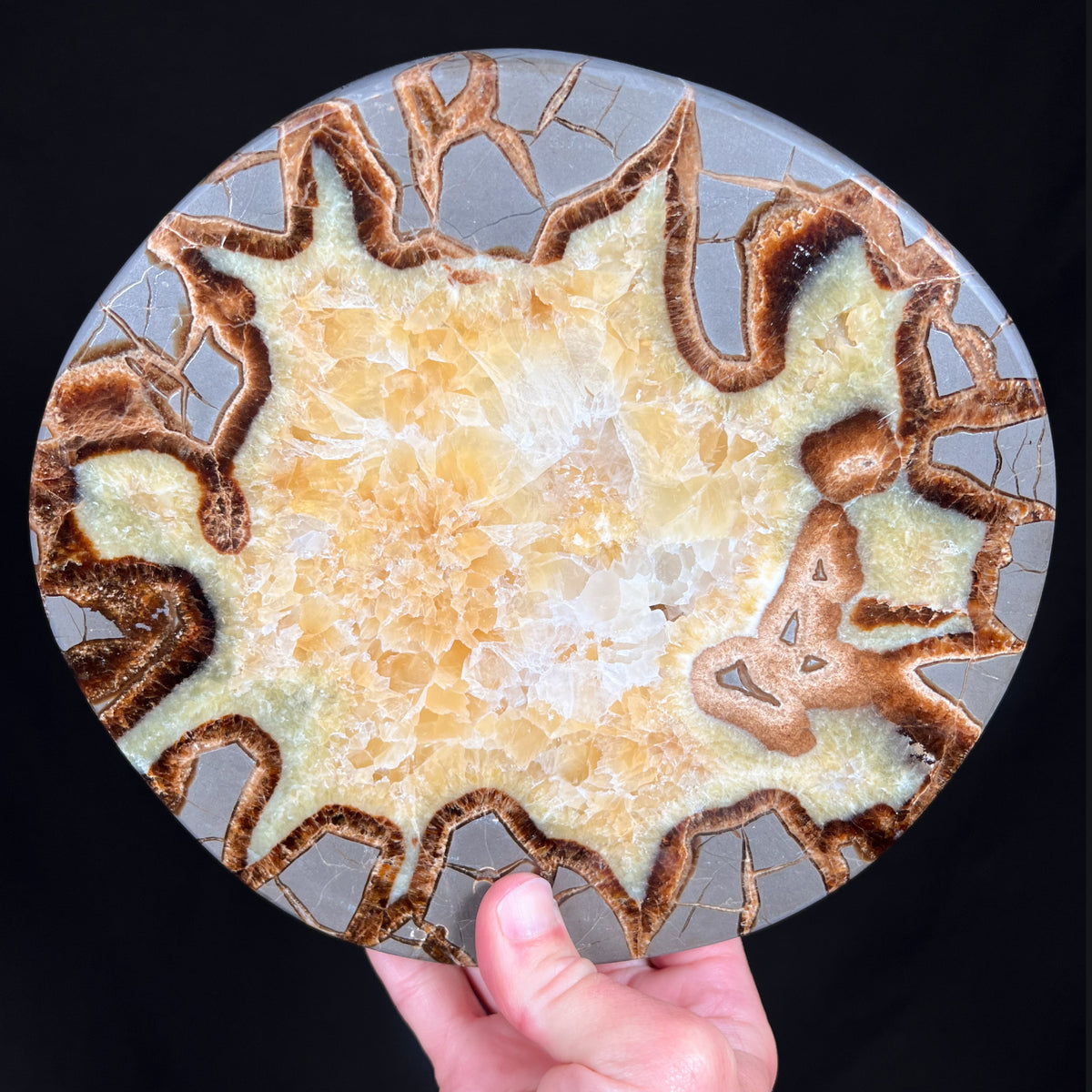 Golden Calcite Concretion Slab