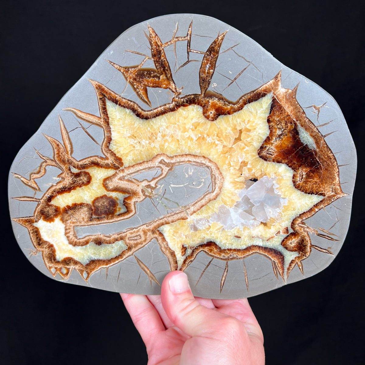 Golden Calcite Septarian Concretion Slab