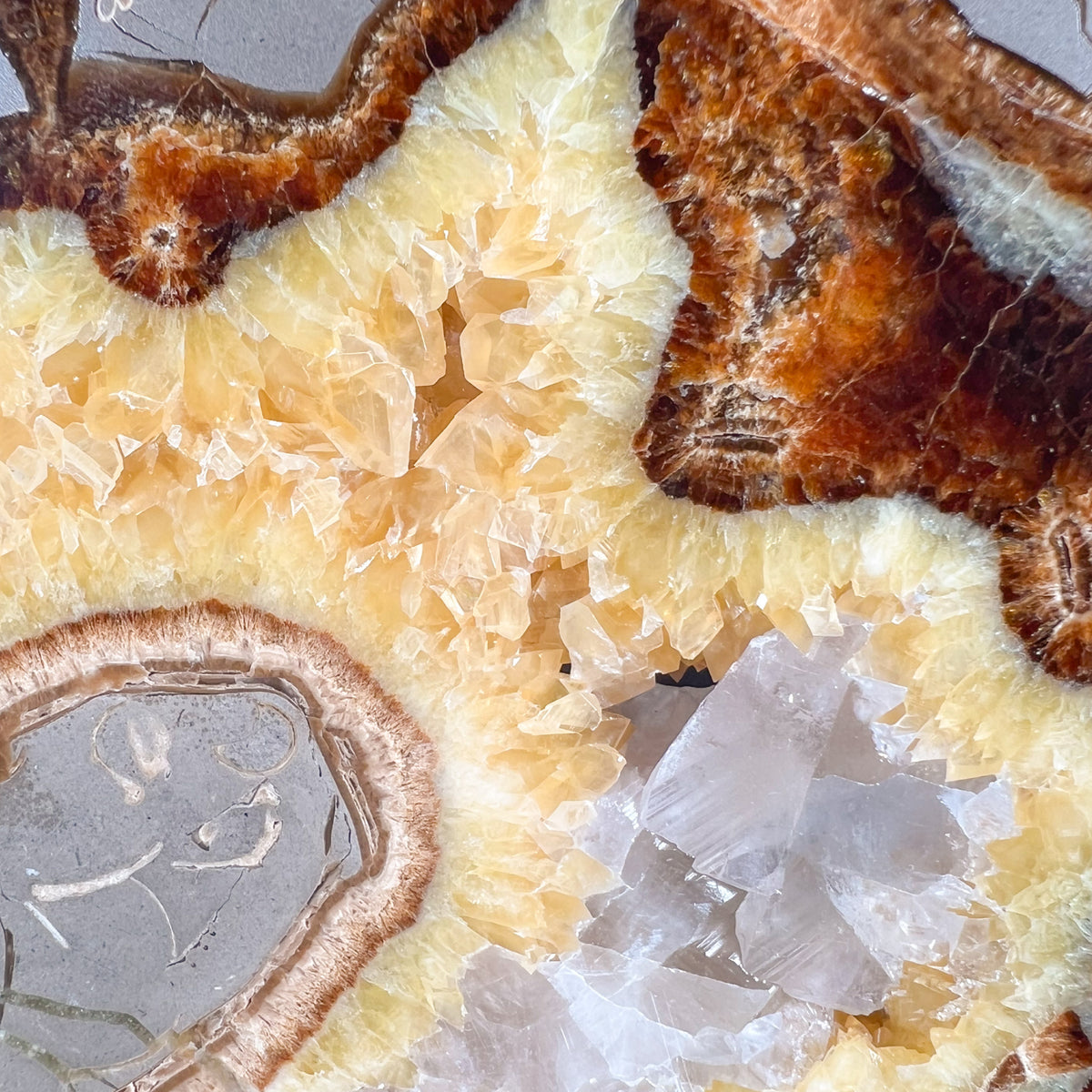 Golden Calcite Geode / Concretion