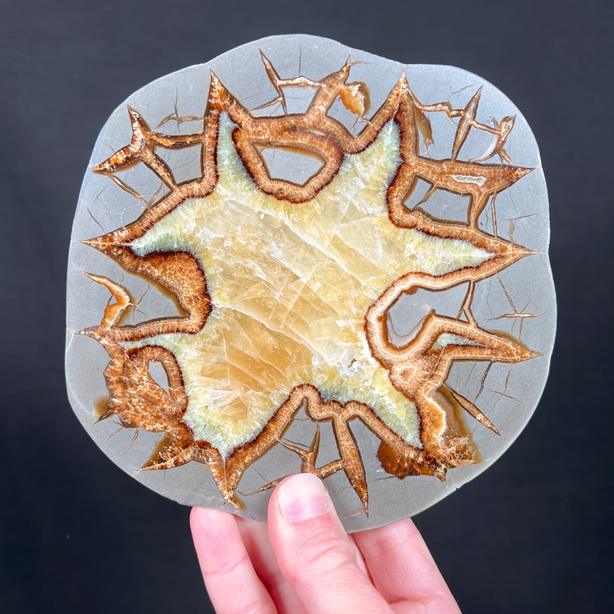 Sepatarian Calcite Slab