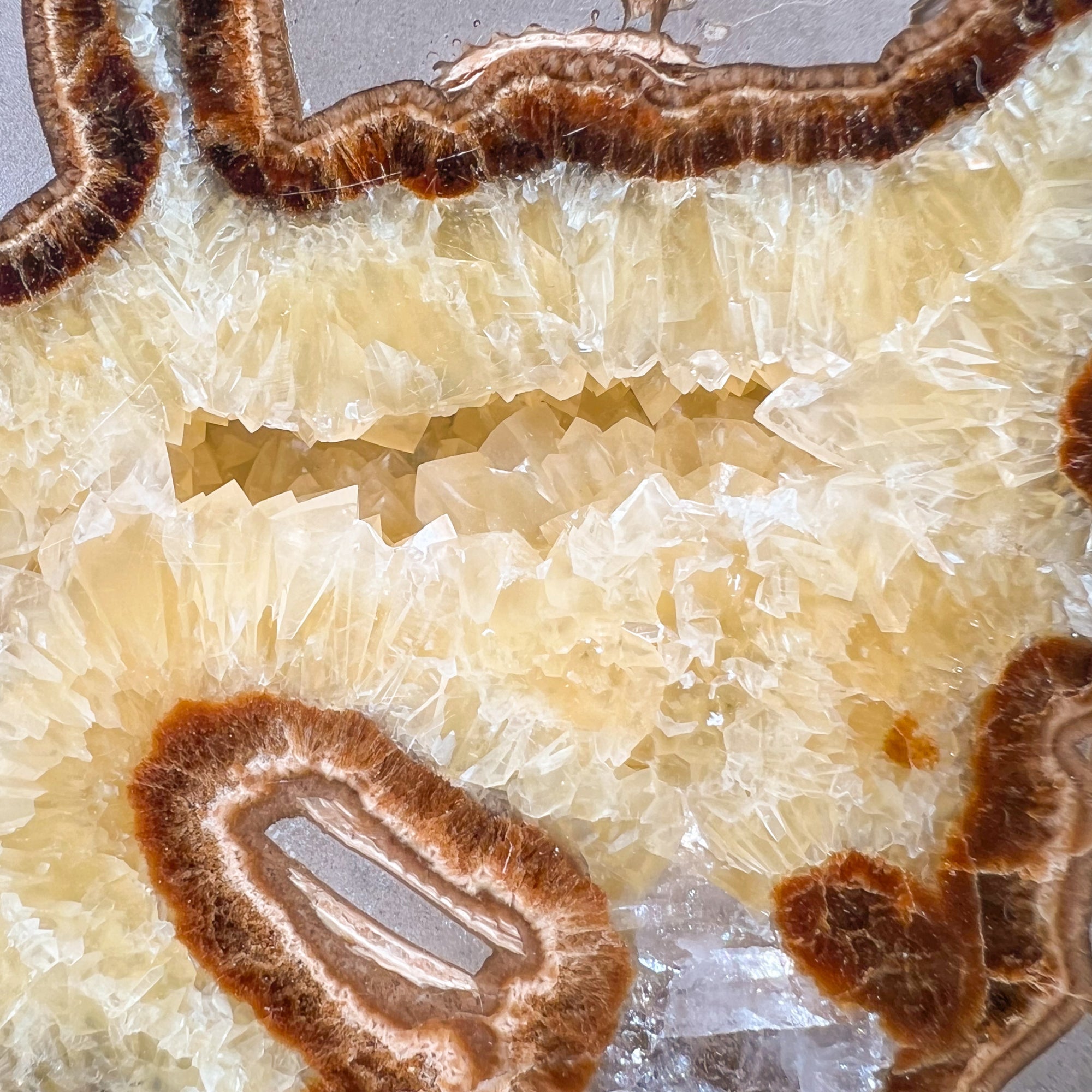 Golden Calcite Septarian Concretion Slice