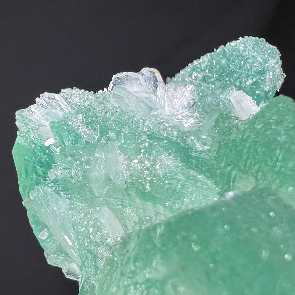 Close Up View of Drusy Apophyllite, White Stilbite and Green Apophyllite Crystals
