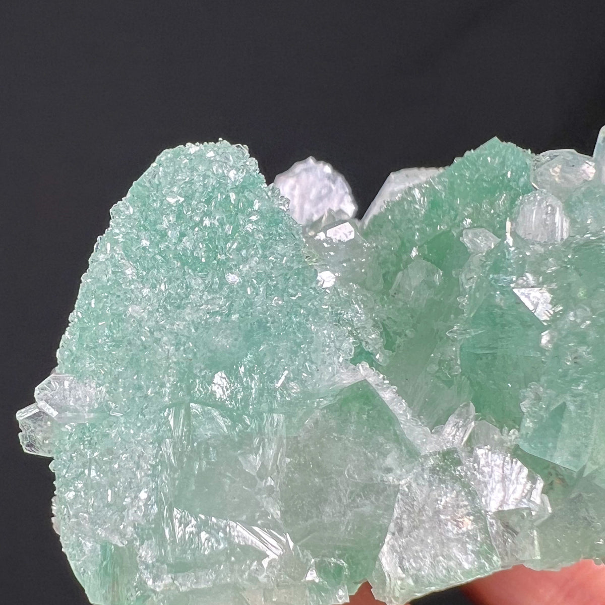 Druzy Apophyllite Crystals Coating Green Apophyllite