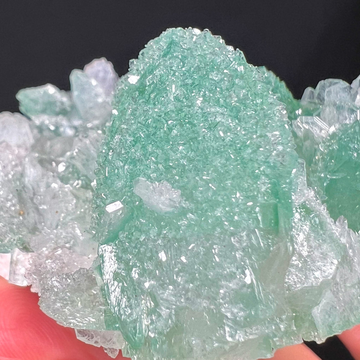 Drusy Apophyllite Crystals on Green Apophyllite