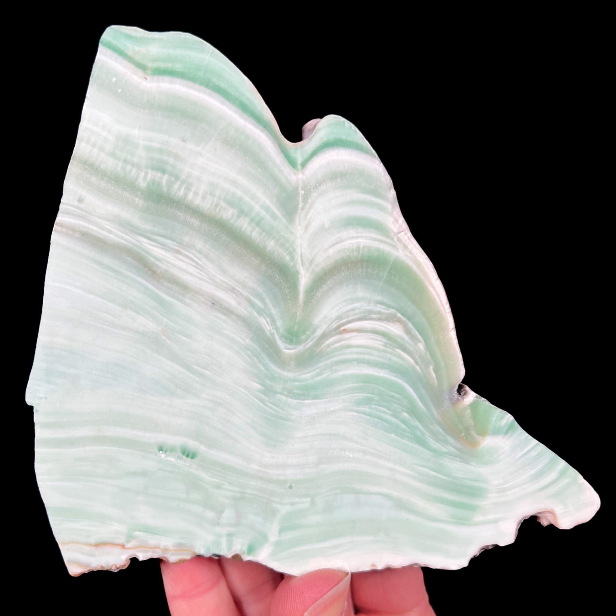 Bands of Green Aragonite in Stone Slab from Spain