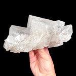 Back side of specimen
