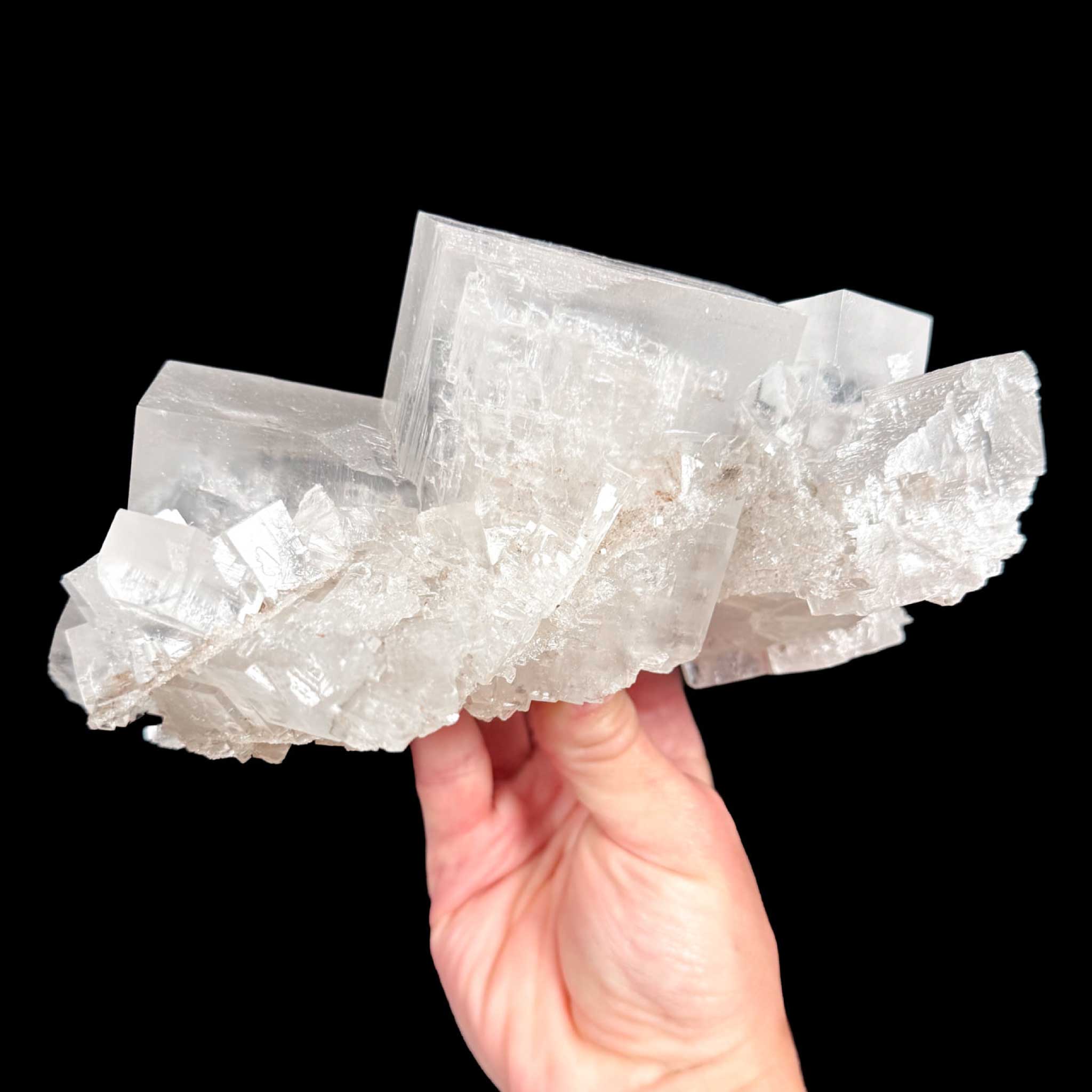 Back side of specimen