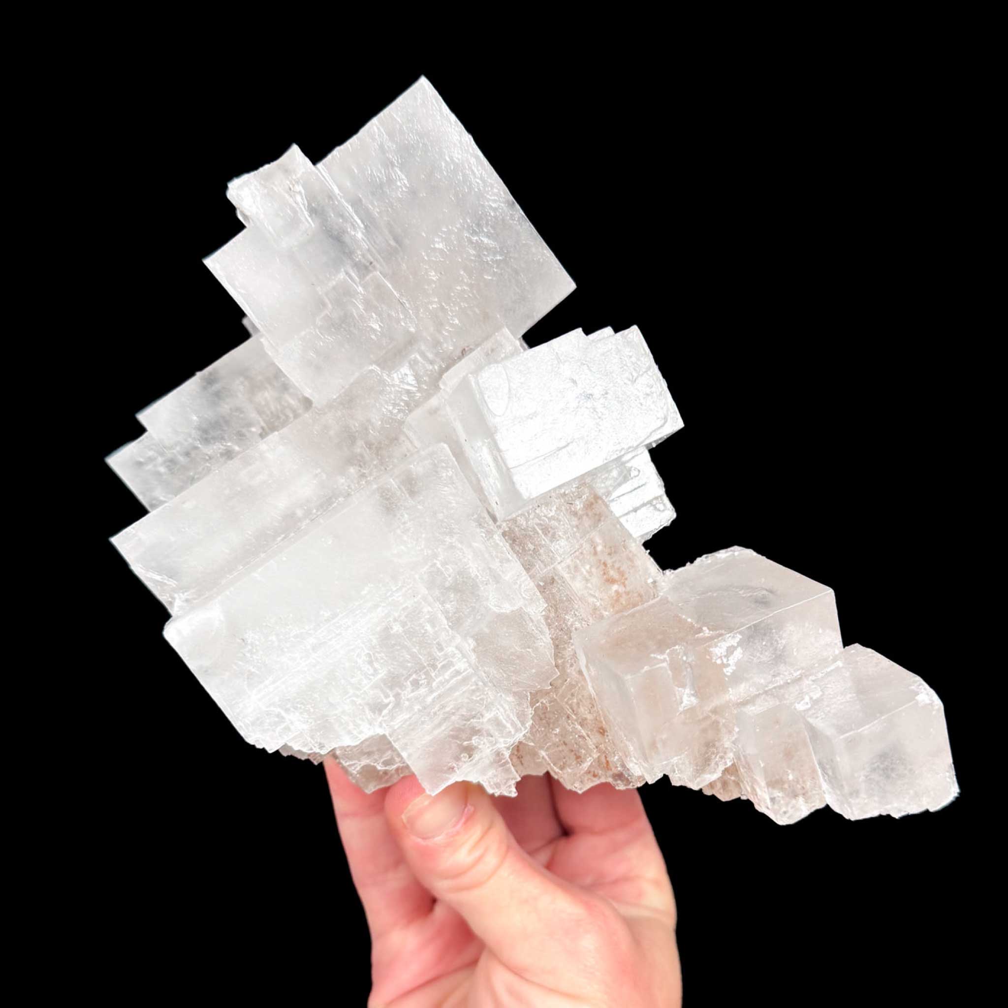 Large cubes of white Halite crystals
