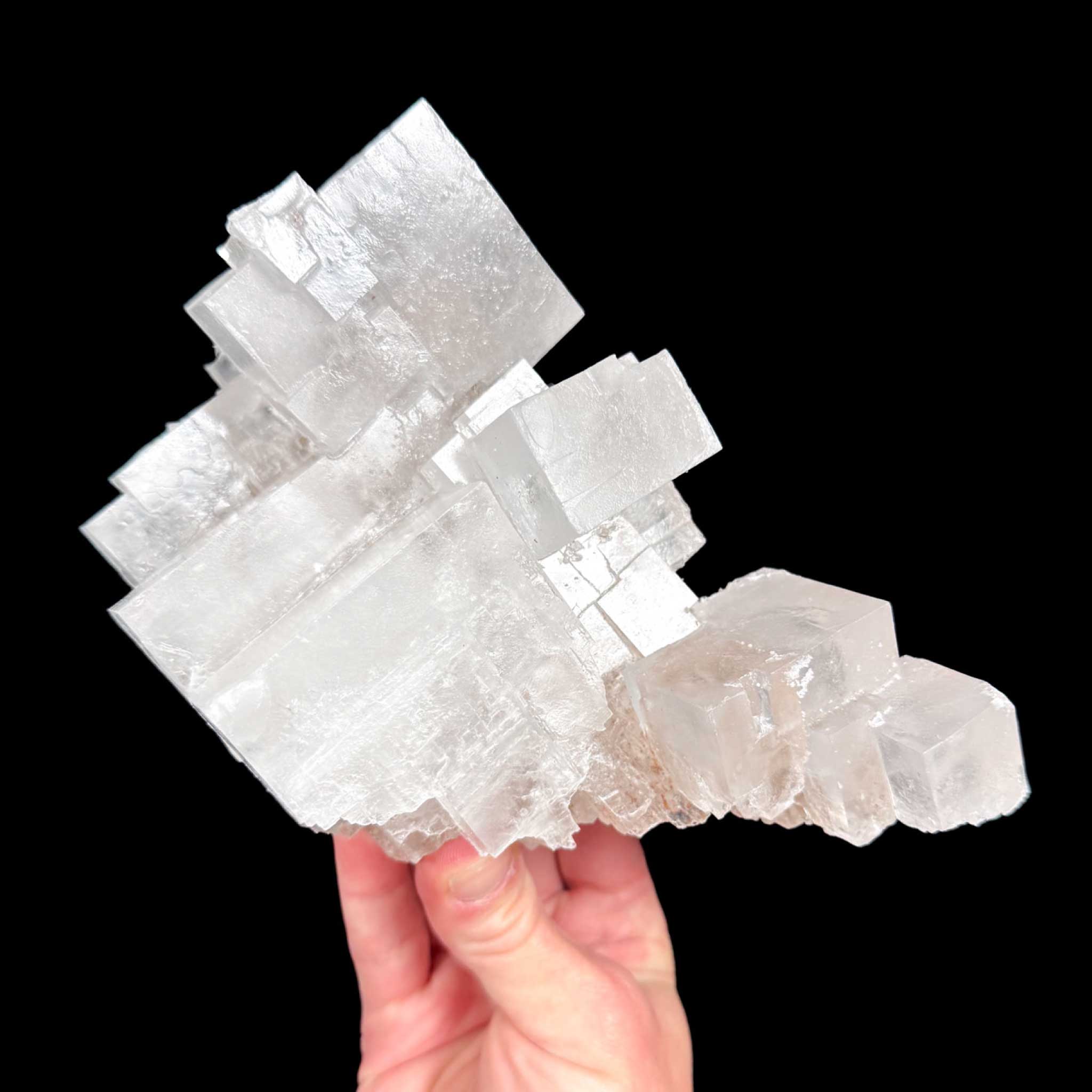 Halite crystal cubes in large cluster