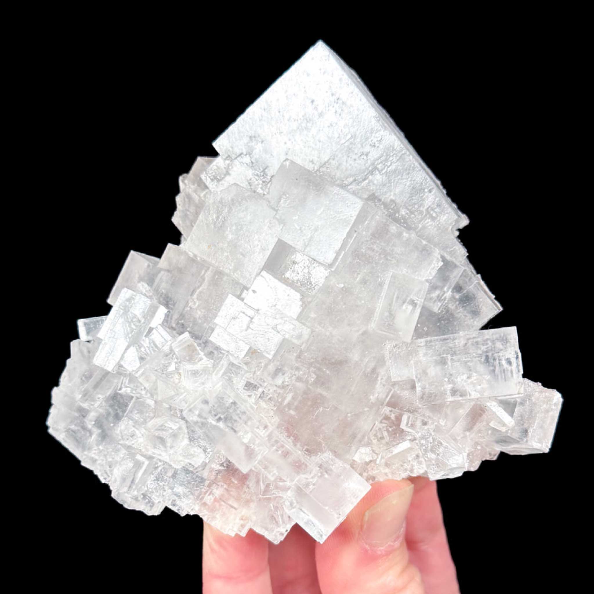 White and clear crystal cubes of Halite