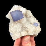 Purple Fluorite on White Quartz from Blanchard Mine, New Mexico