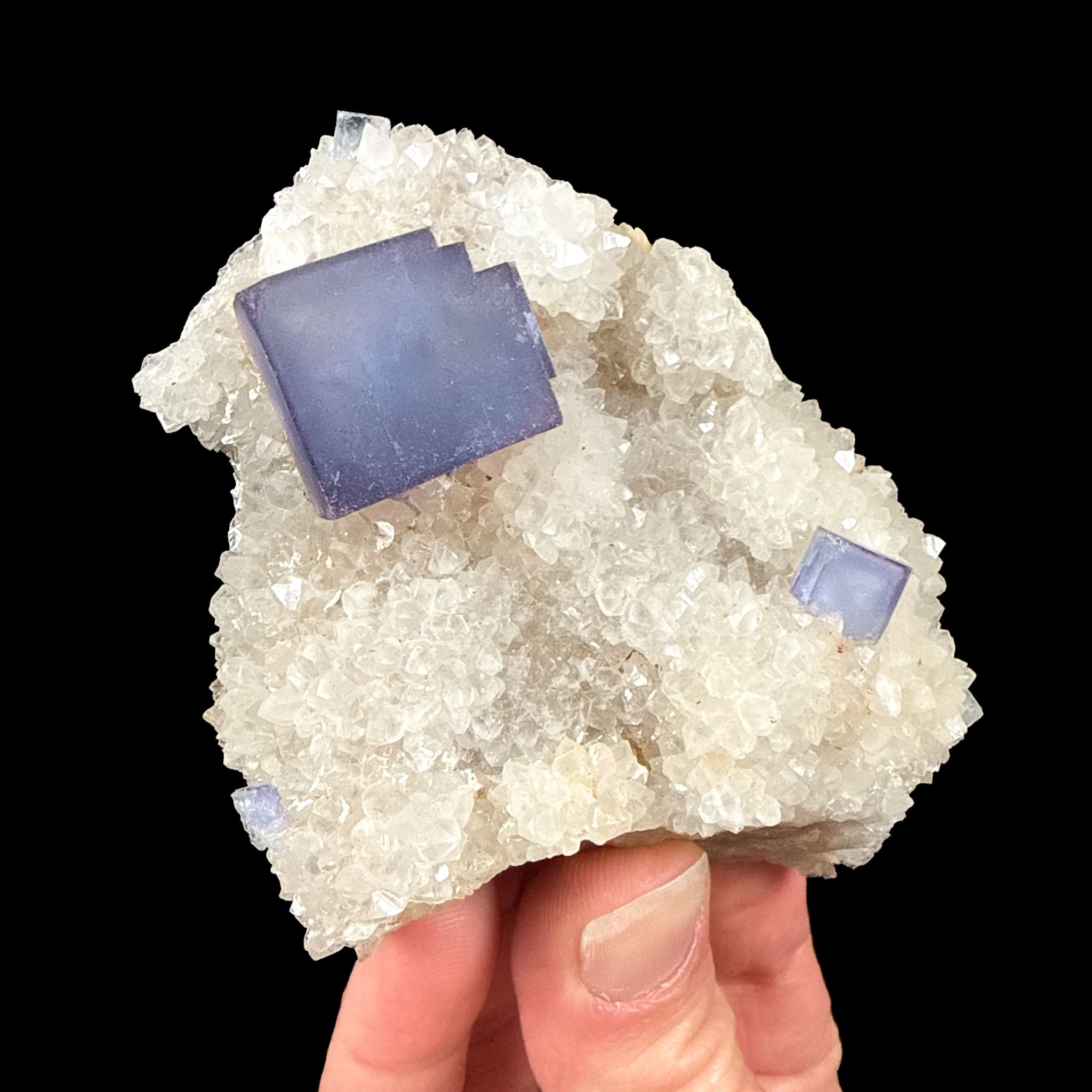 Purple Fluorite on White Quartz from Blanchard Mine, New Mexico