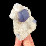 Side view of Fluorite cube on Quartz - New Mexico