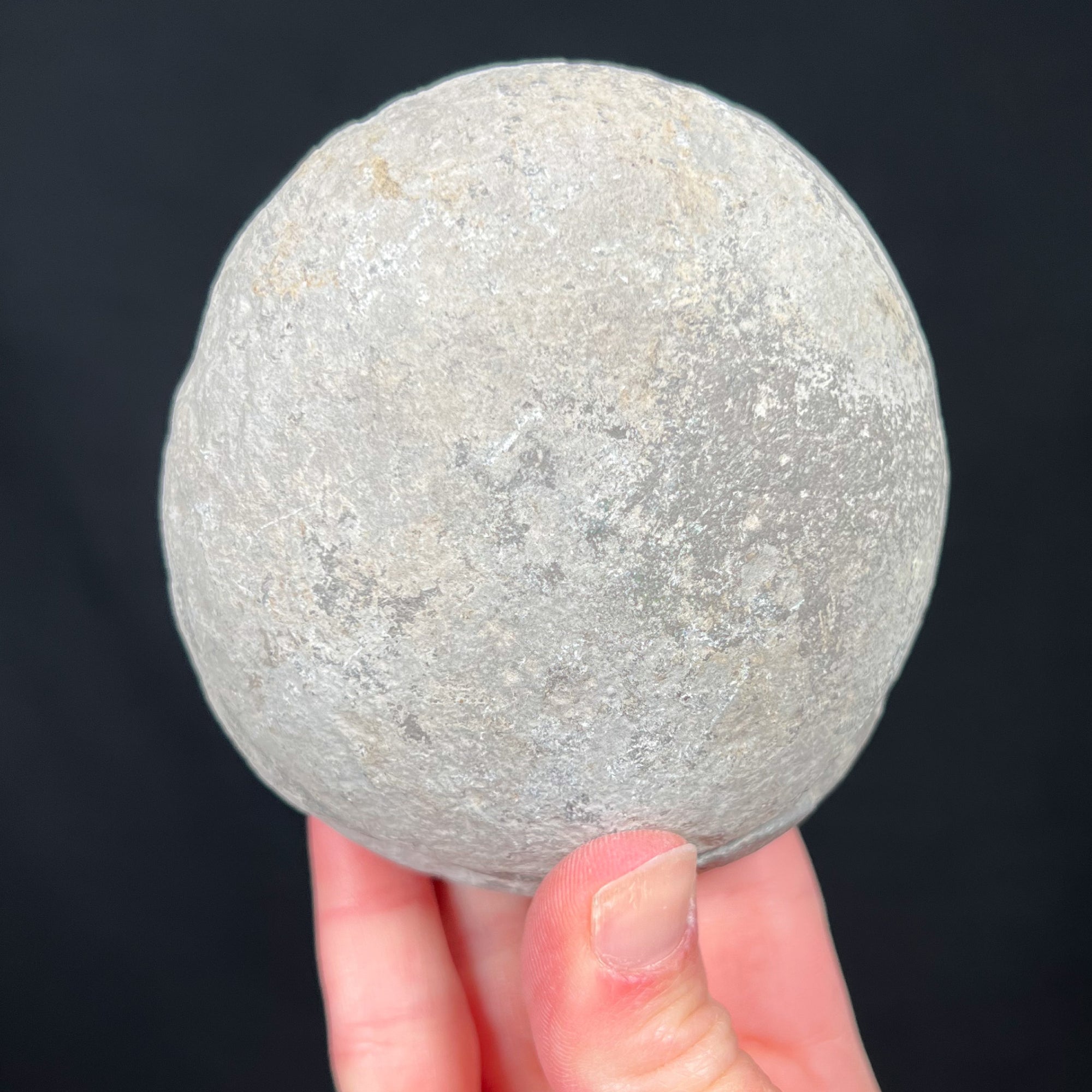 Jurassic Period Fossil Ammonite Concretion