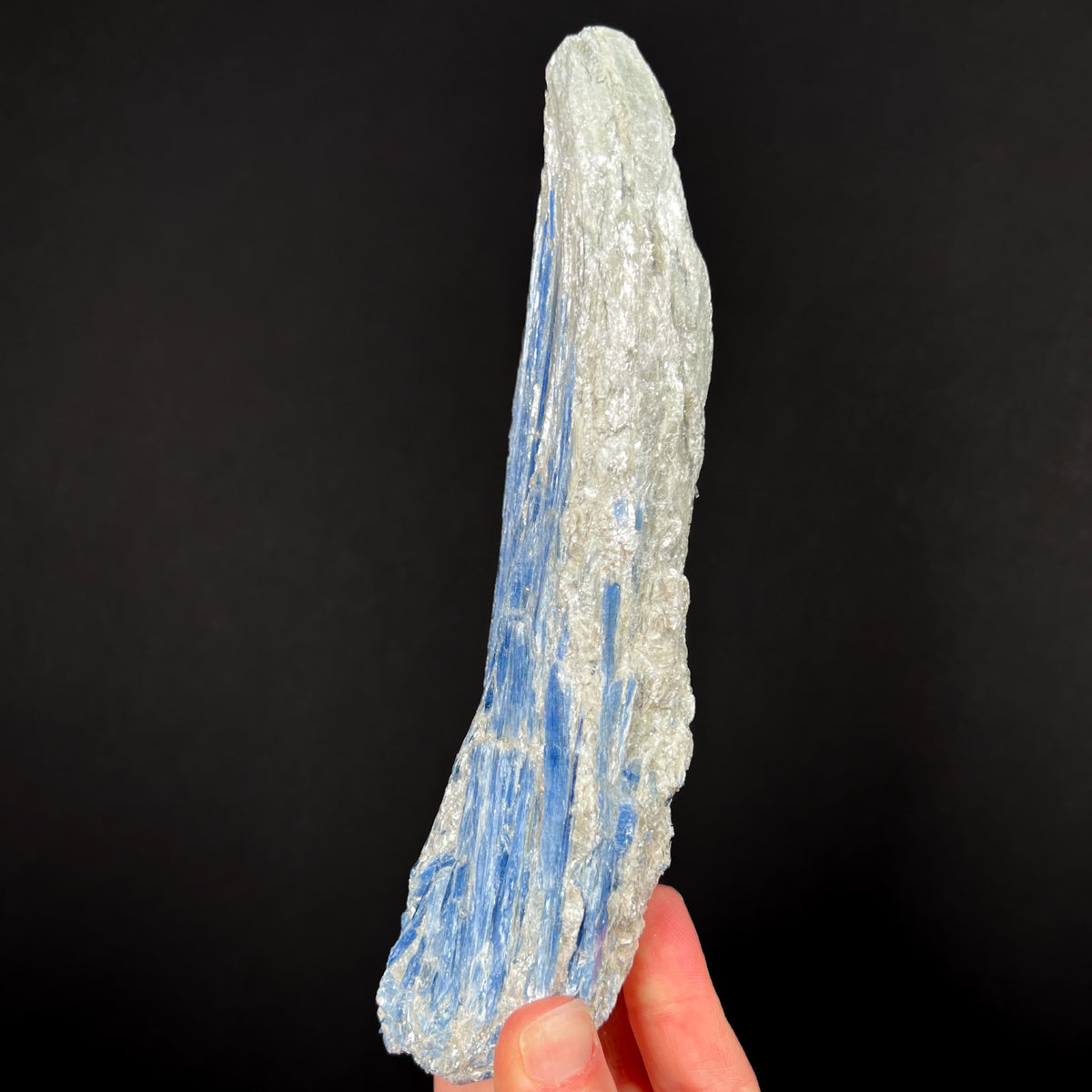 Side View of Large Blue Kyanite Crystals with Muscovite