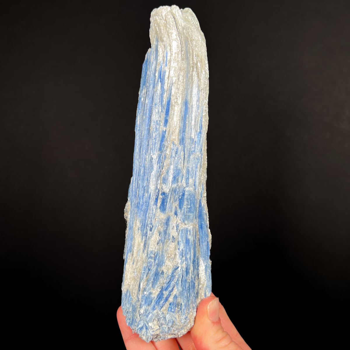 Large Kyanite Crystal Cluster from Brazil