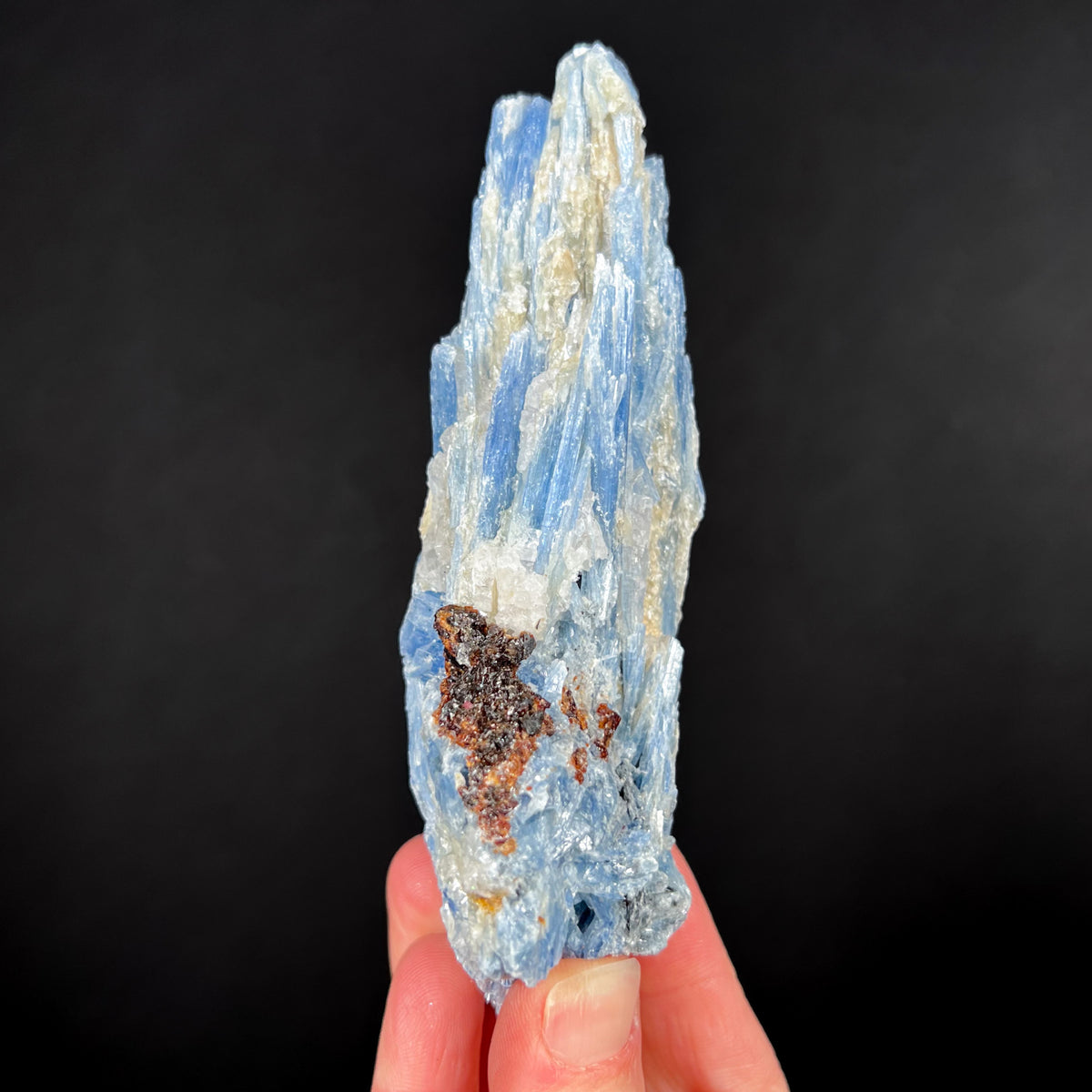 Blue Kyanite with Root-beer Colored Staurolite