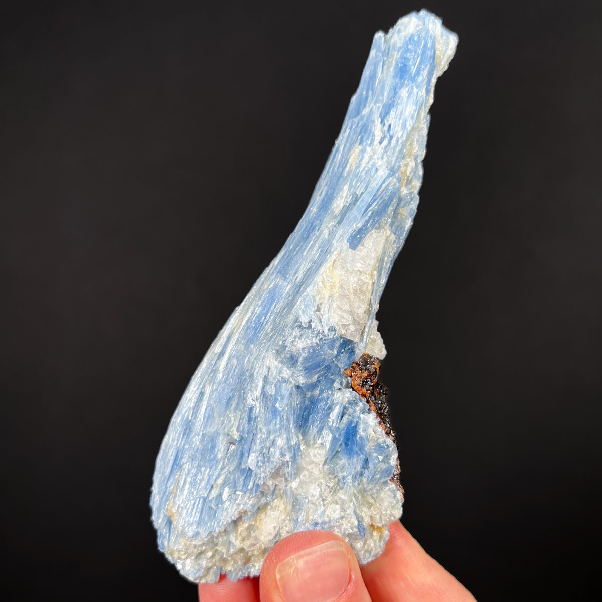 Blue Kyanite with Staurolite