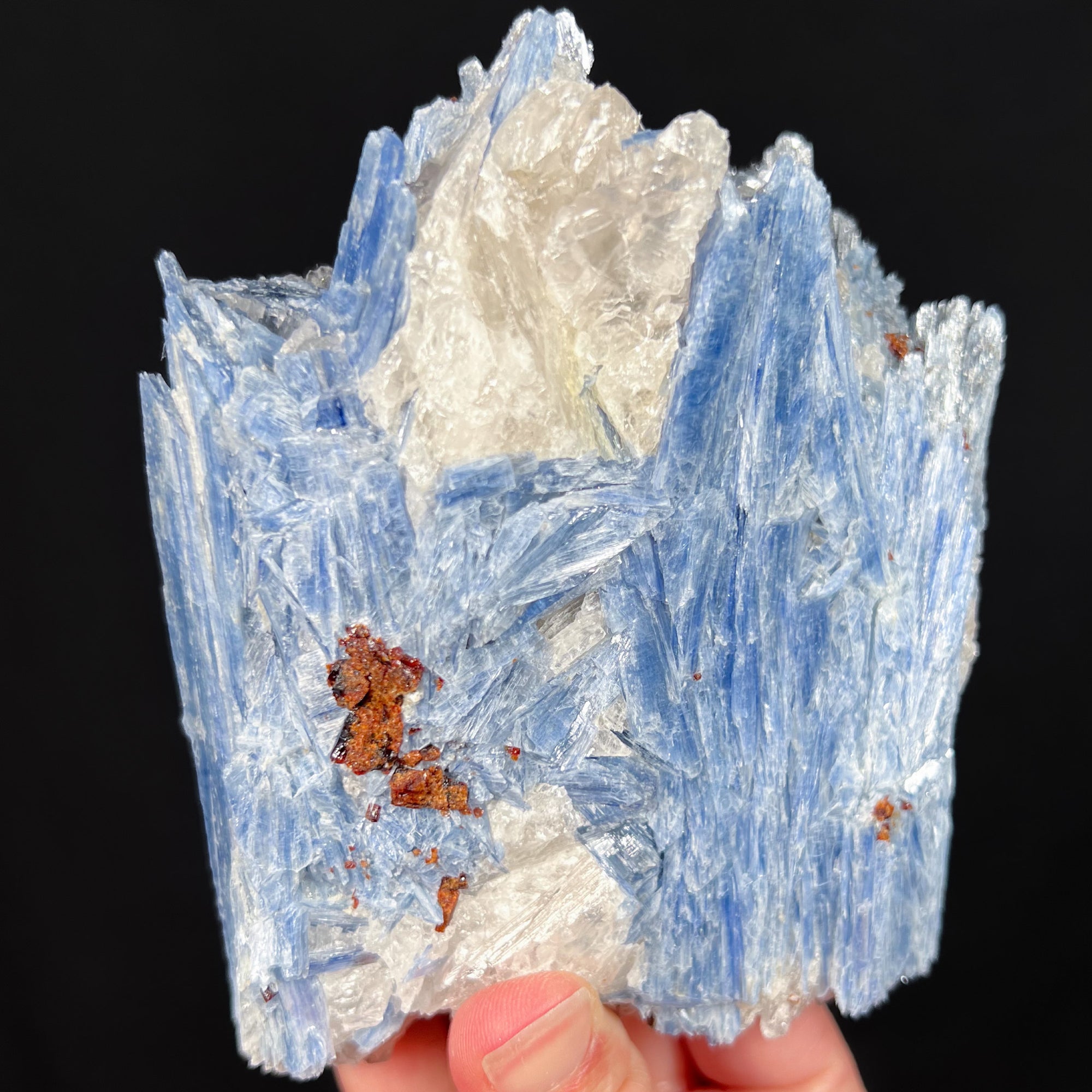 Blue Kyanite with Quartz and Staurolite Mineral Specimen